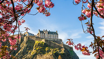 Full Time Internship | Edinburgh Featured Image