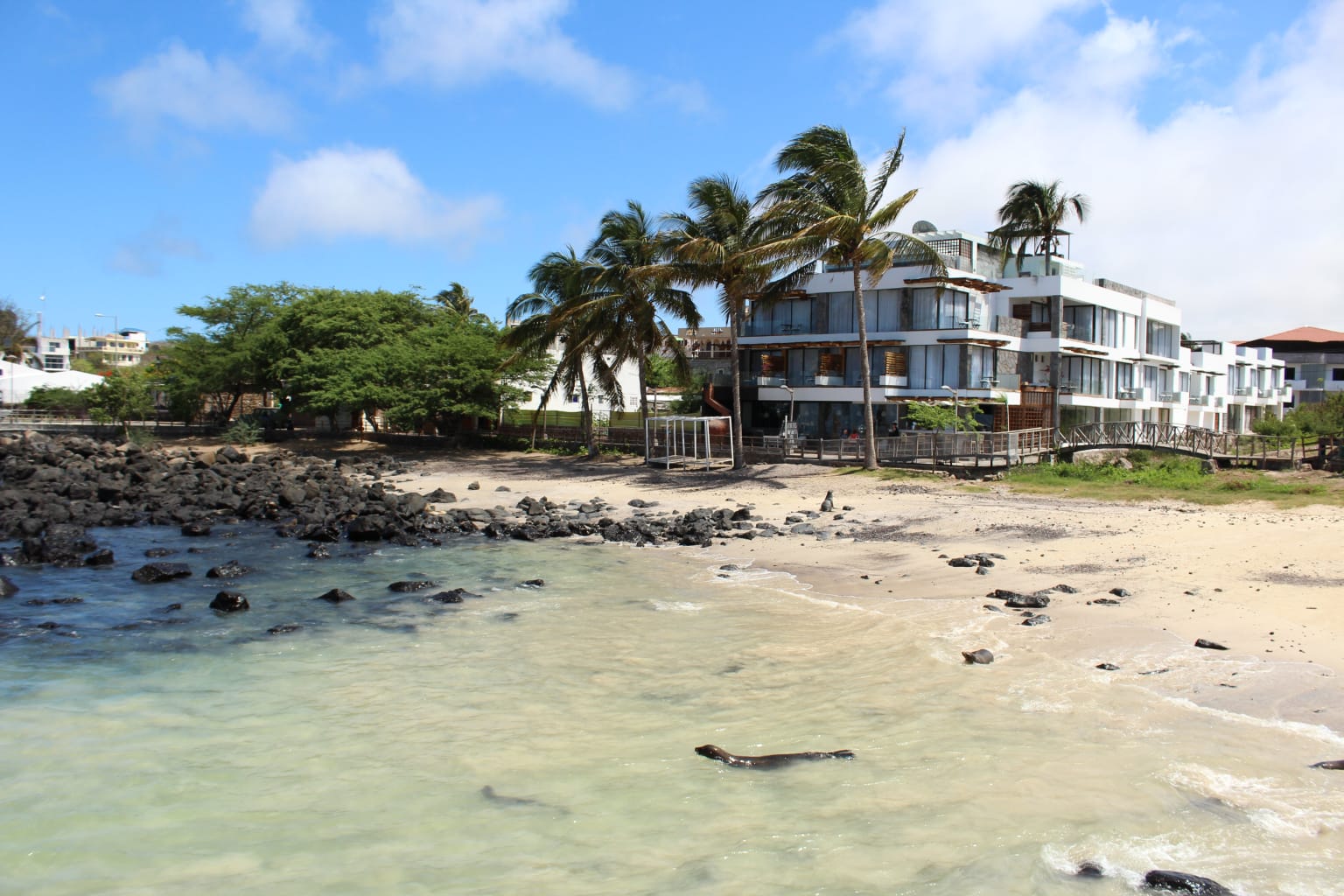 A beach in Ecuador.